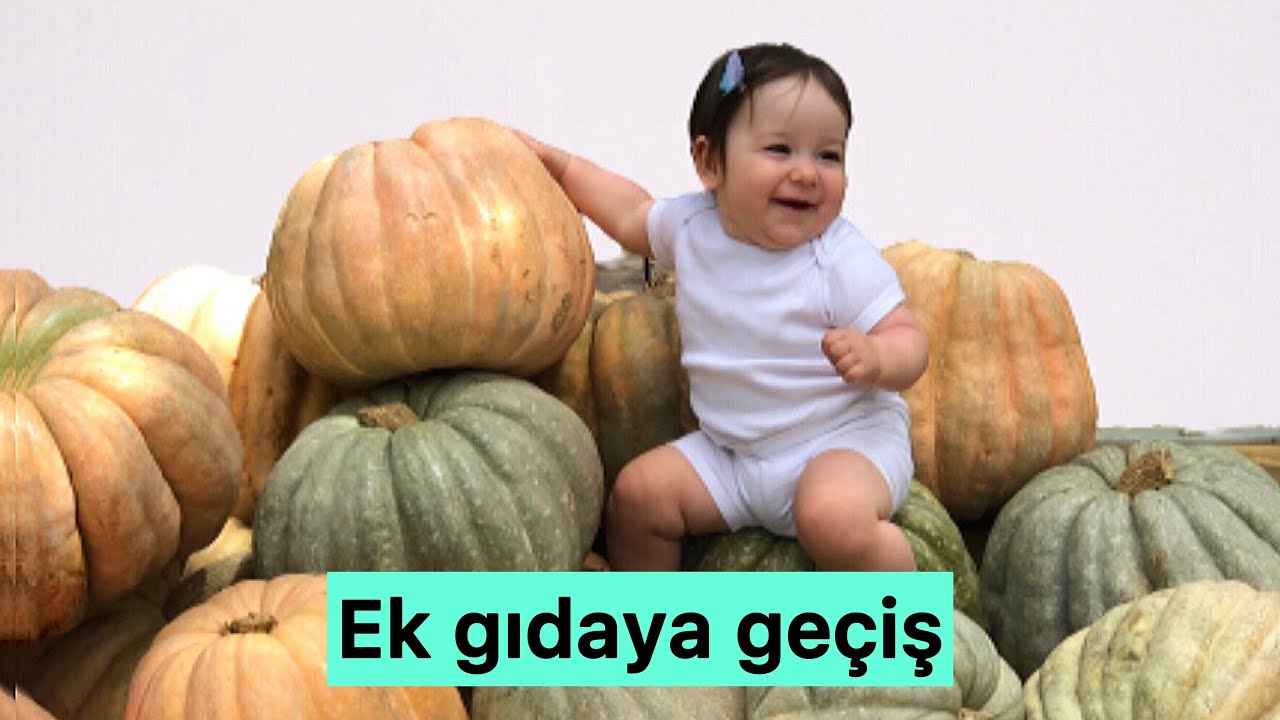 Ek gıda hakkında bilmeniz gerekenler. BLW nedir? Benim deneyimim