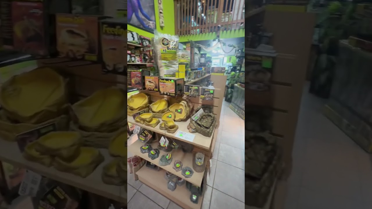 带你参观加拿大的爬宠店The Lost World