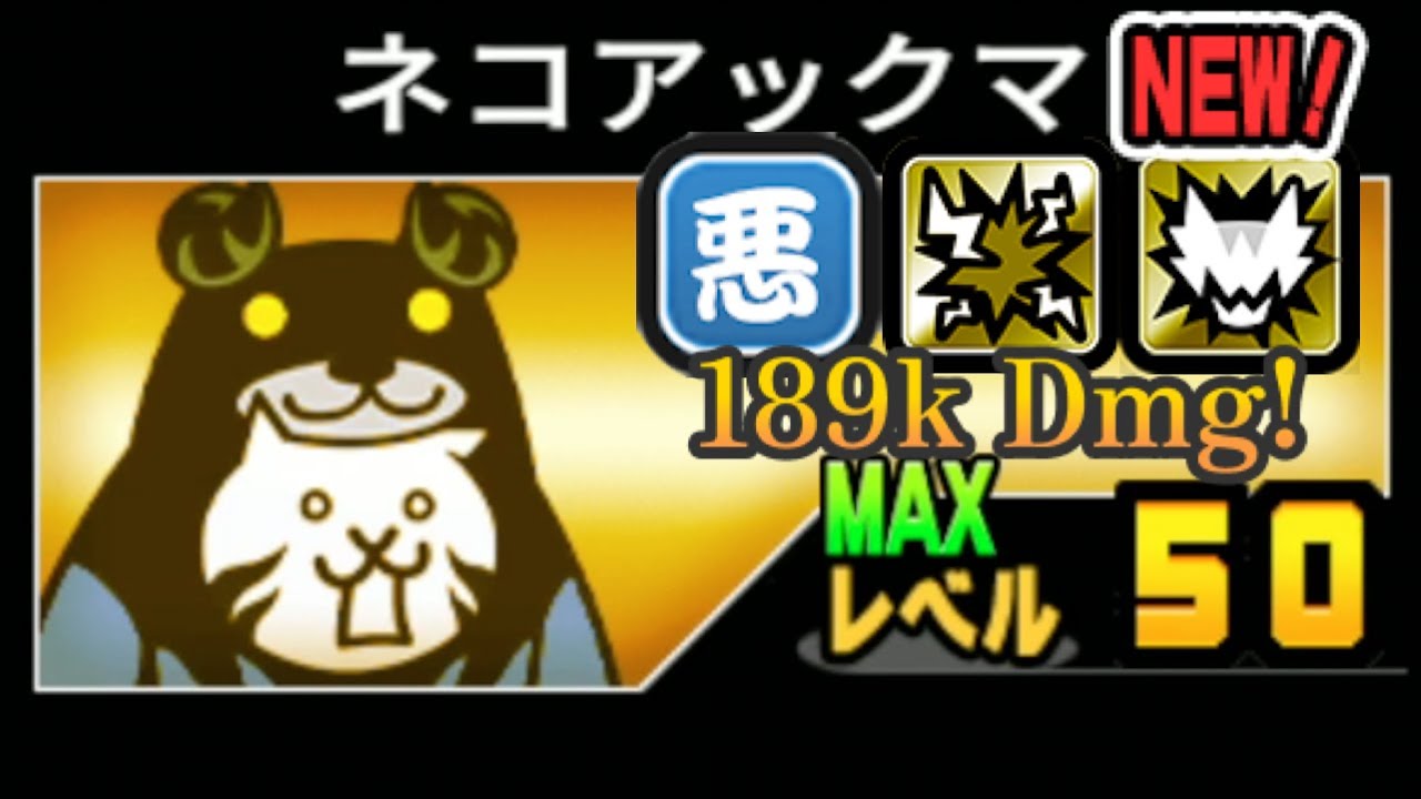 Battle Cats Fallen BearCat! Akuma Evil BearCat! 54k Dps!! Aku BearCat!