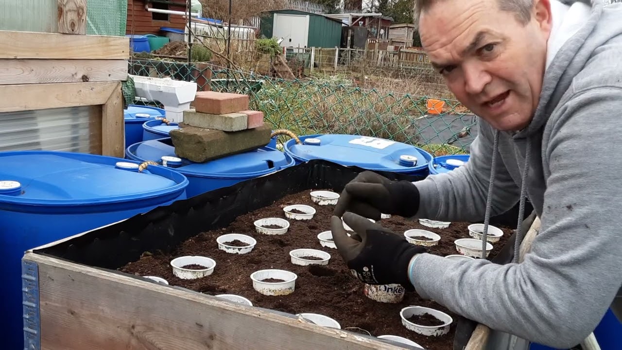 How To Grow Parsnips 🌻 How I Feed The Existing Manure Layer Deep Down In The Bed 🌻 Fly Tip Finds