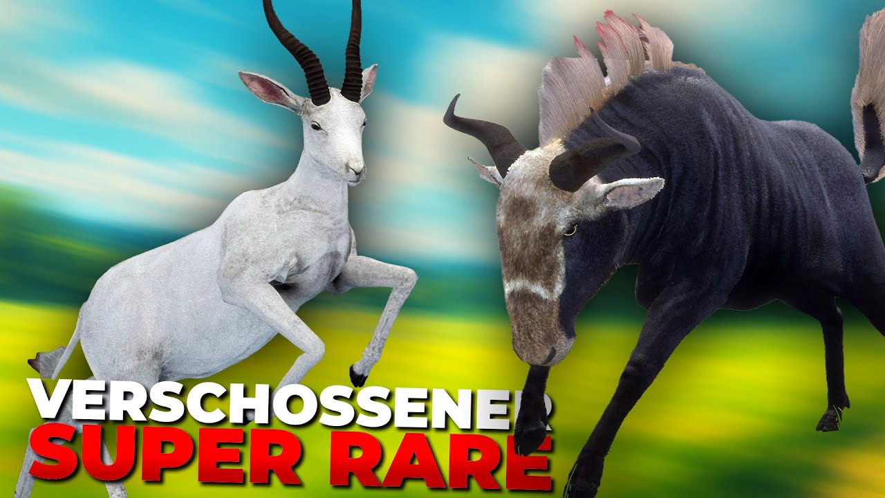 DIESER verschossene SUPER RARE tut besonders Weh! 😰