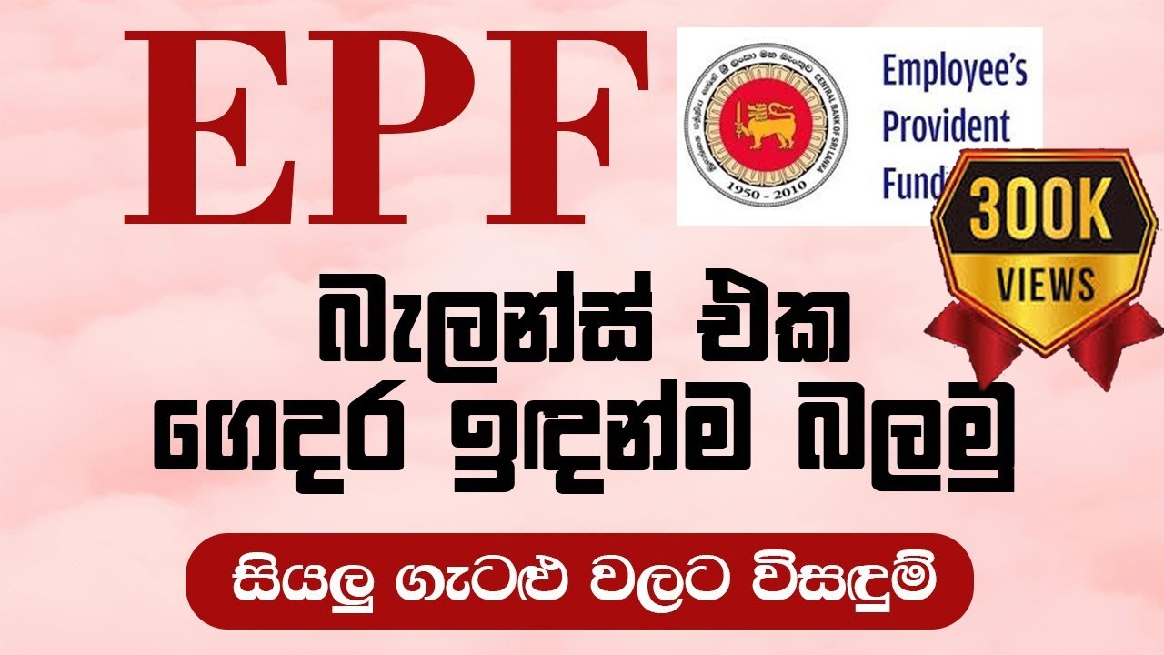 EPF බැලන්ස් එක ලේසියෙන්ම බලමු | How to Check EPF Balance In Sri Lanka | Dp hub