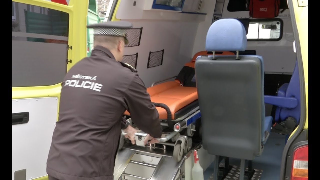 ZLÍN - Auto pro přepravu na záchytku