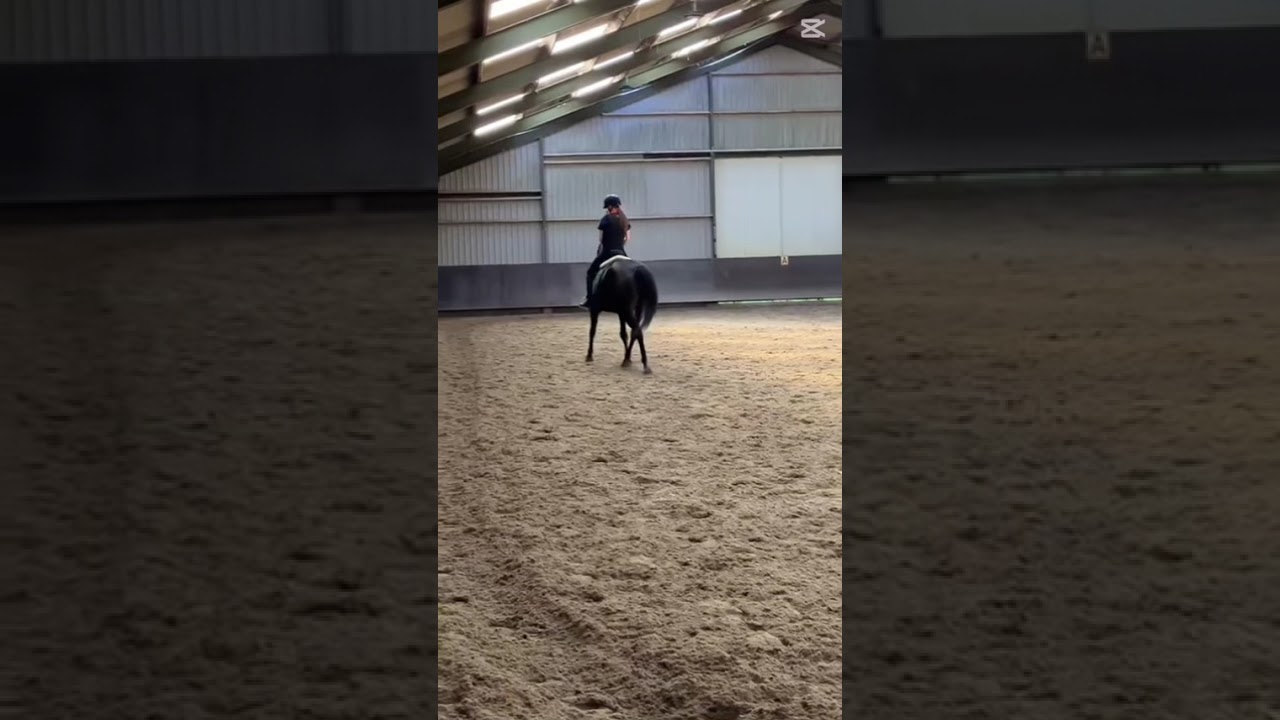 Deze ging echt super goed!!!!! #horse #equestrian #dressage