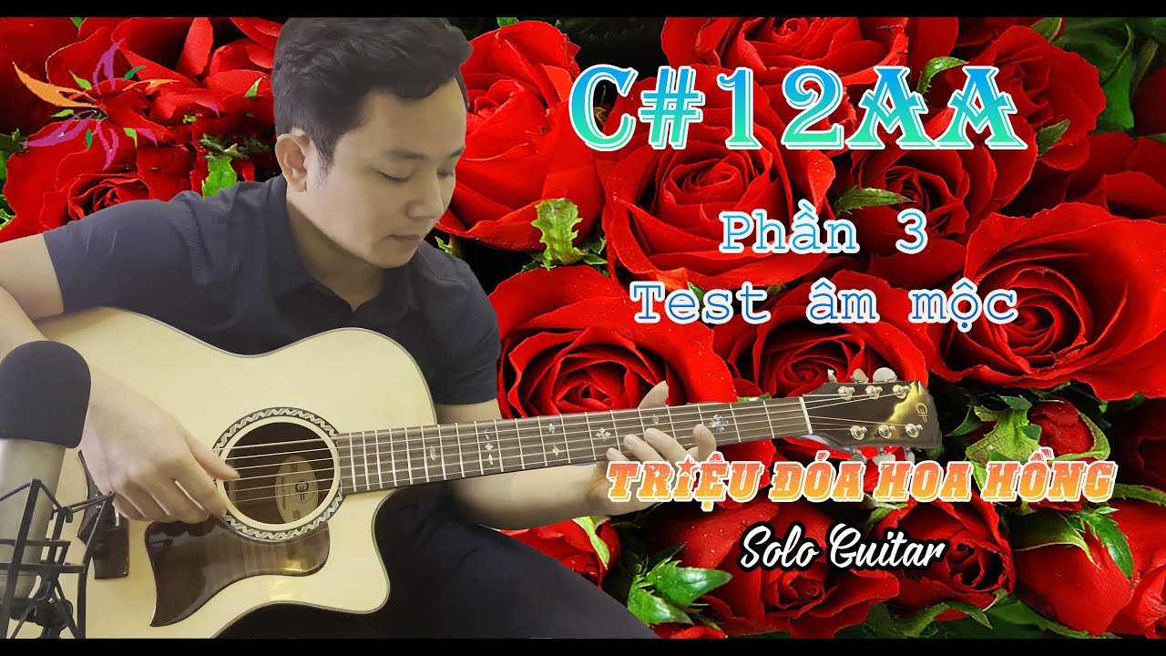 Ra mắt C#12AA (Phần 3) - Solo guitar Triệu Đ&oacute;a Hồng