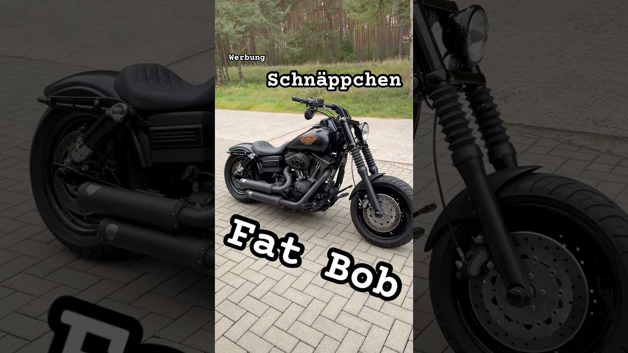 2009 Fat Bob seeks new owner #harleydavidson #harley #fatbob #motorcycle #workshop #conversion