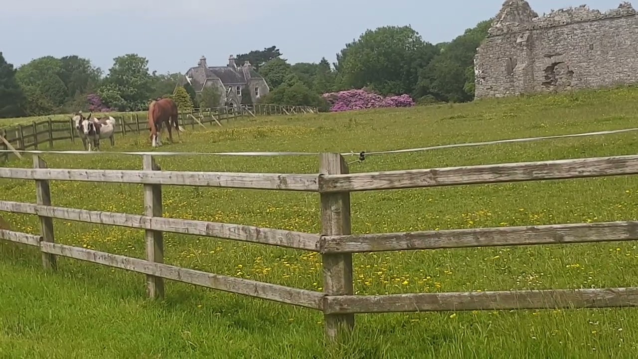 Rattoo,Ballyduff,Co.Kerry a historical location.4/5/22.