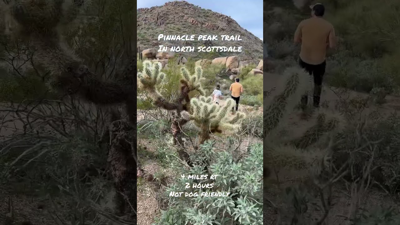 Pinnacle Peak in Scottsdale #scottsdale#arizona #arizonahiking#hike#hiking #hikingadventures#travel
