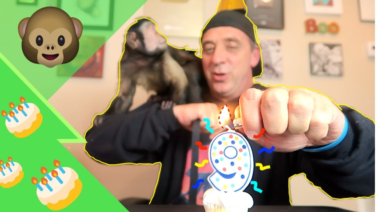 Monkey Birthday Party FUN!