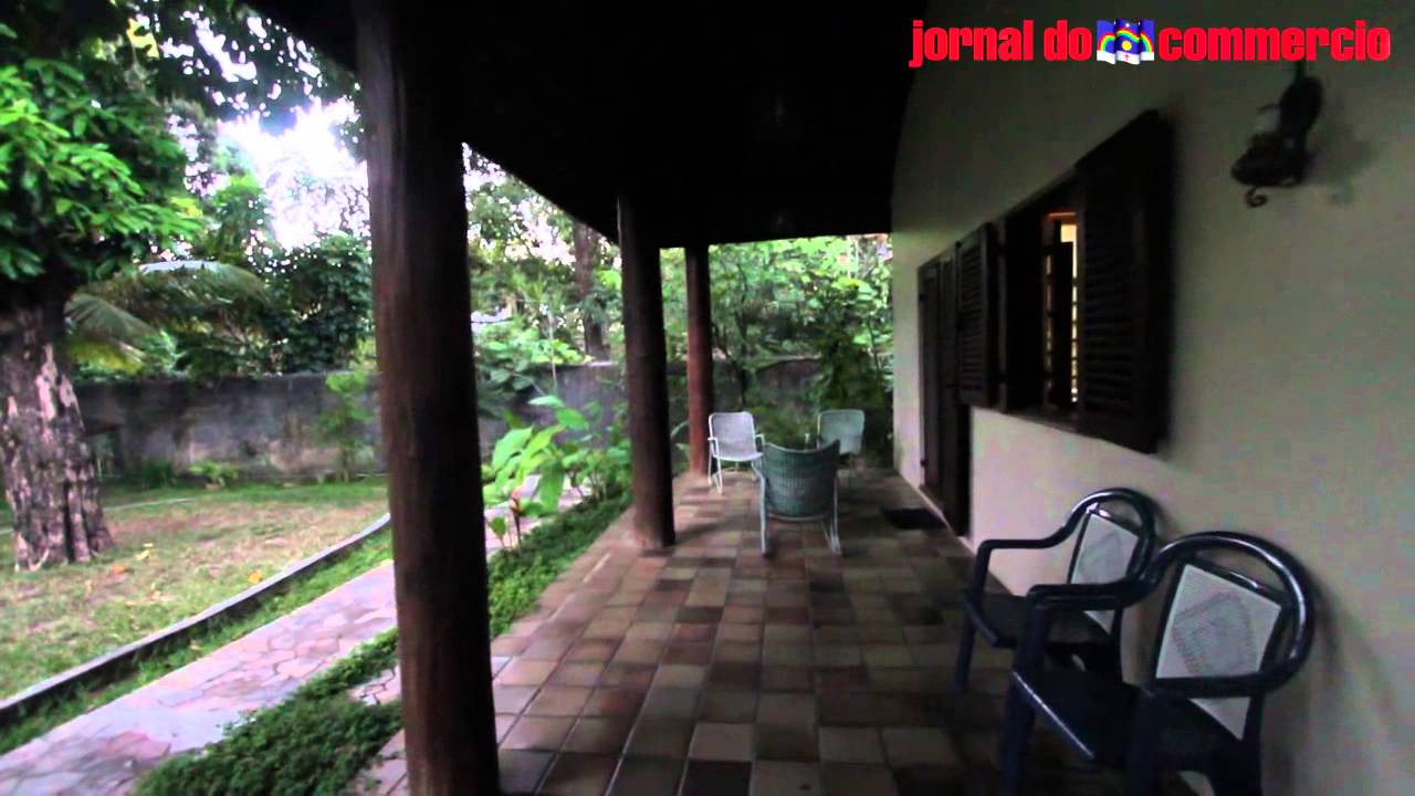 [JC] - Magdalena Arraes apresenta o Instituto Miguel Arraes