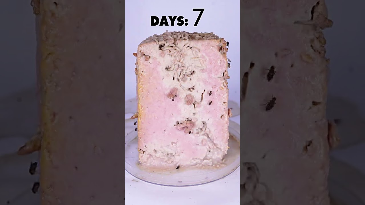 Best Tofu Recipe in 2026 😋
