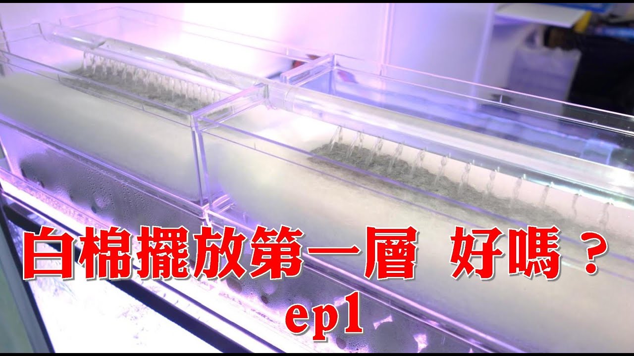 白棉擺放第一層 好嗎？ ep1