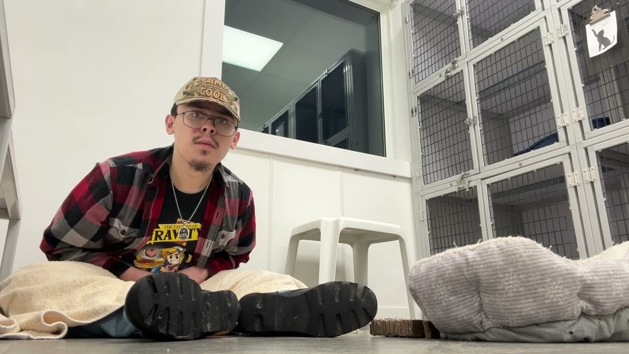 Socializing with Archie post-surgery! (Part 4, clickbait disclaimer in desc)