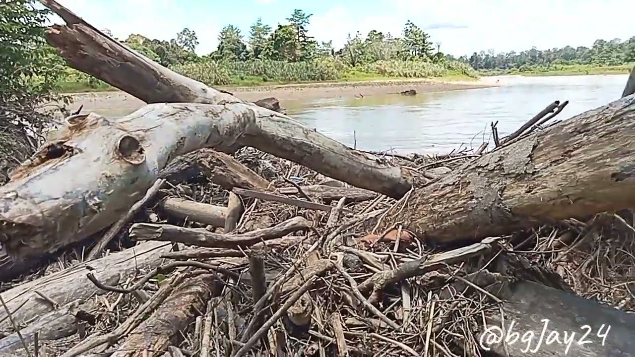 Pesona sungai eksotis 