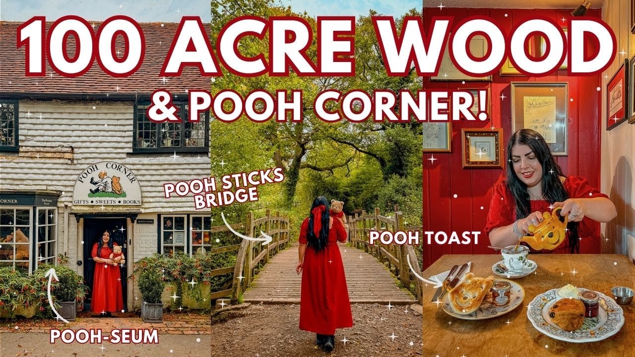 Let's Visit the Hundred Acre Wood from Winnie the Pooh! Pooh Sticks Bridge & Pooh Corner 🐻🍯🐝