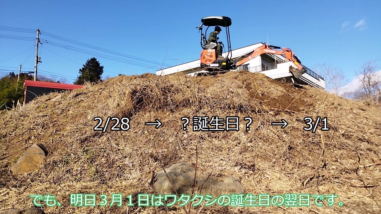 今年も誕生日が来ないケド　新車150万円中華ショベルカーで崖際にスロープを作りたい！　　ずんだもんさん読み上げ
