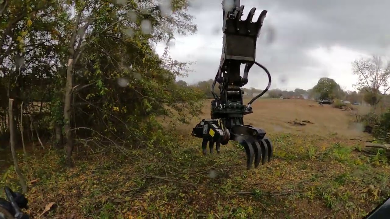 grapple saw tree removal