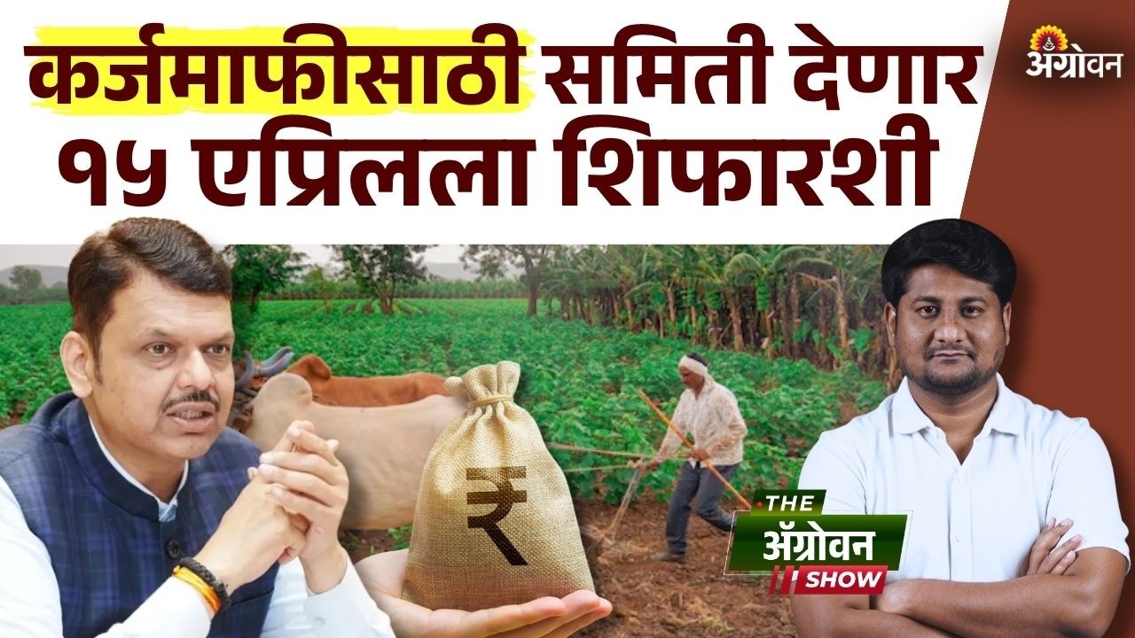 Farmer Loan Waiver : कर्जमाफीसाठी २०१७ प्रमाणेच अटी-शर्ती लागू होणार? |Agrowon
