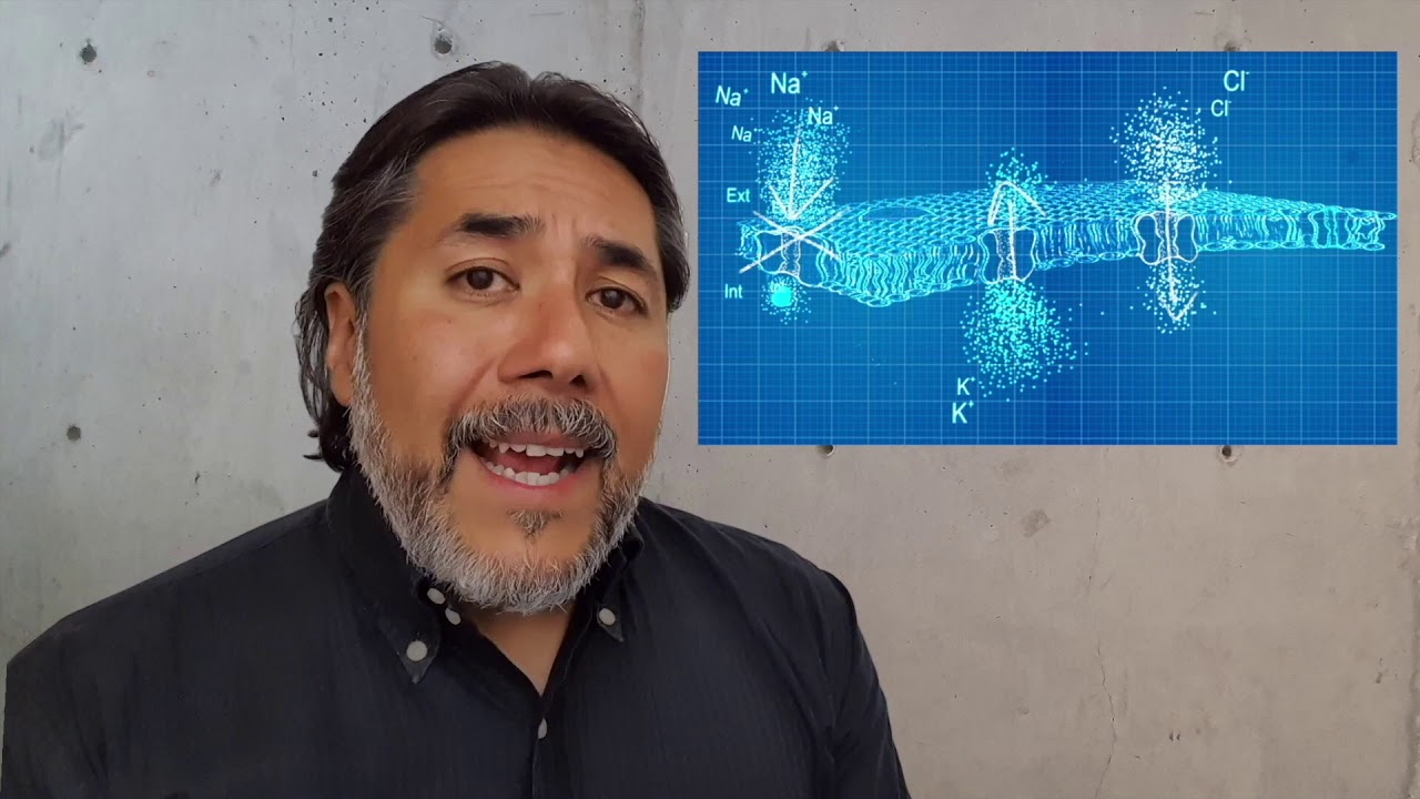 Potencial de membrana en reposo y potencial de equilibrio de un ión