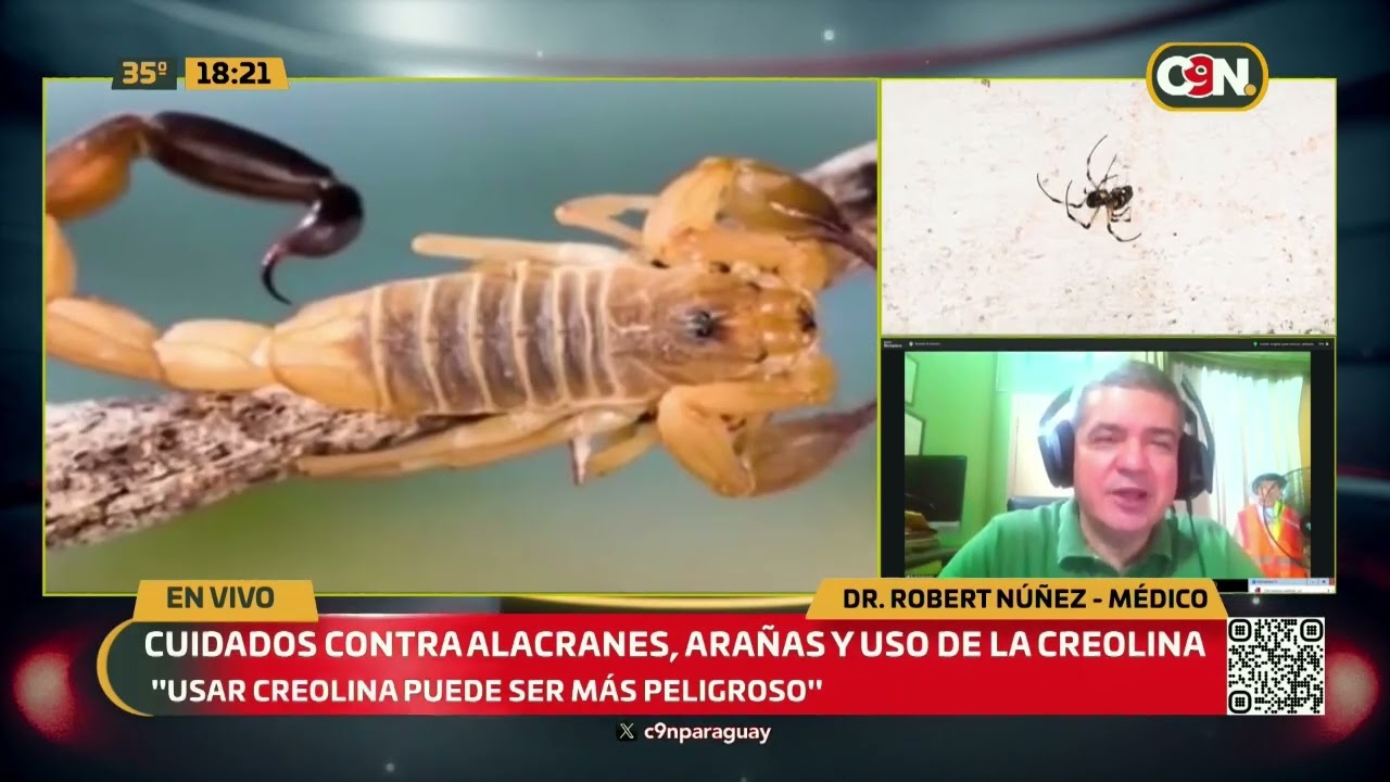 Cuidados ante picaduras de alacranes y arañas