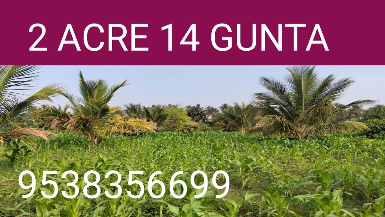 Vi) 2 ACRE 14 GUNTA | YOUR GREEN HEAVEN | READY COCONUT FARM FOR SALE@9538356699@SurabhiProperties