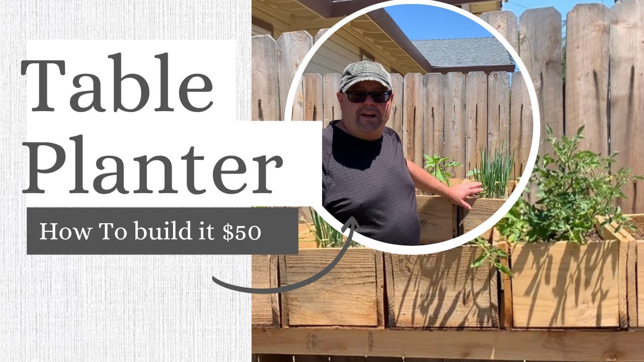 Table top raised garden bed under 50 dollars - How we built it