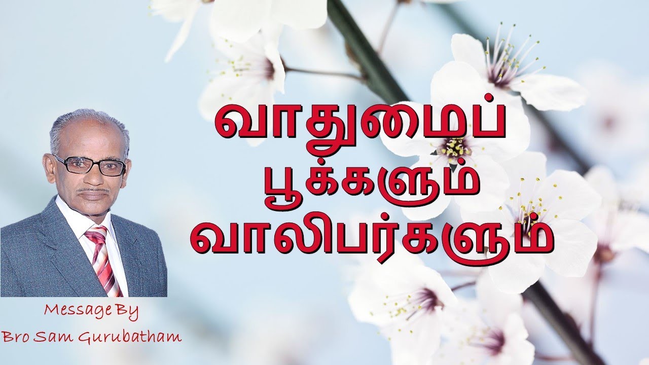 வாதுமை பூக்களும் வாலிபர்களும் || Almond flowers || Vaadhumai Pookalum Vaalibargalum