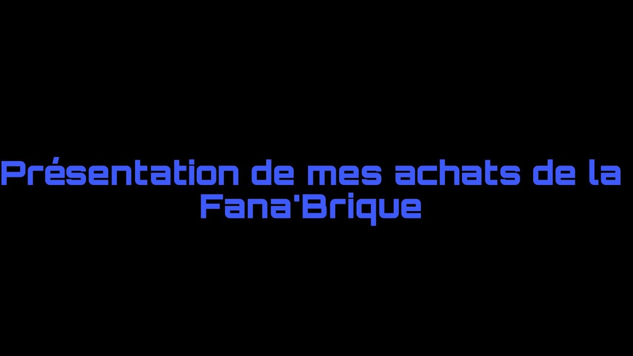 Présentation de mes achats Fana'Brique 2025