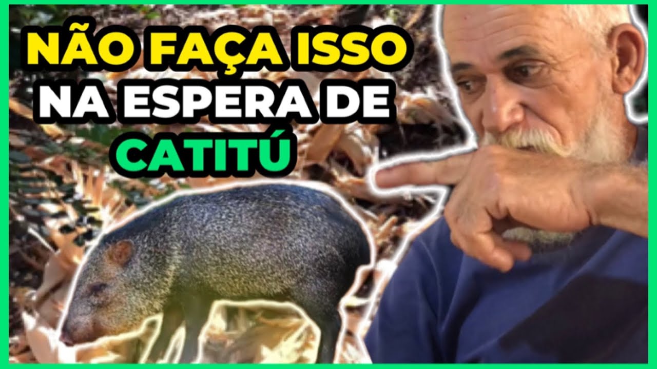🔴 SEGREDO DA ESPERA DE CATITÚ