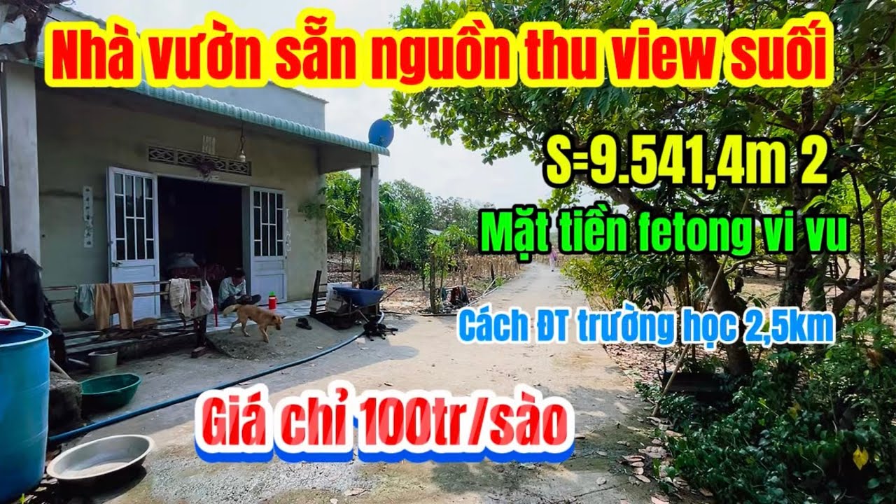 585🌹Nhà vườn sẵn nguồn thu view suối cách ĐT, trường học 2,5 km  S=9.541,4m2 giá chỉ 950tr 