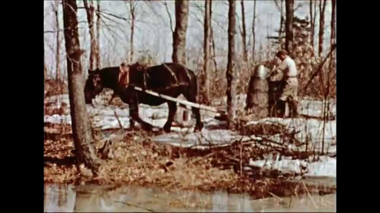 Maple Sugar Time = Le Temps des sucres (1941)