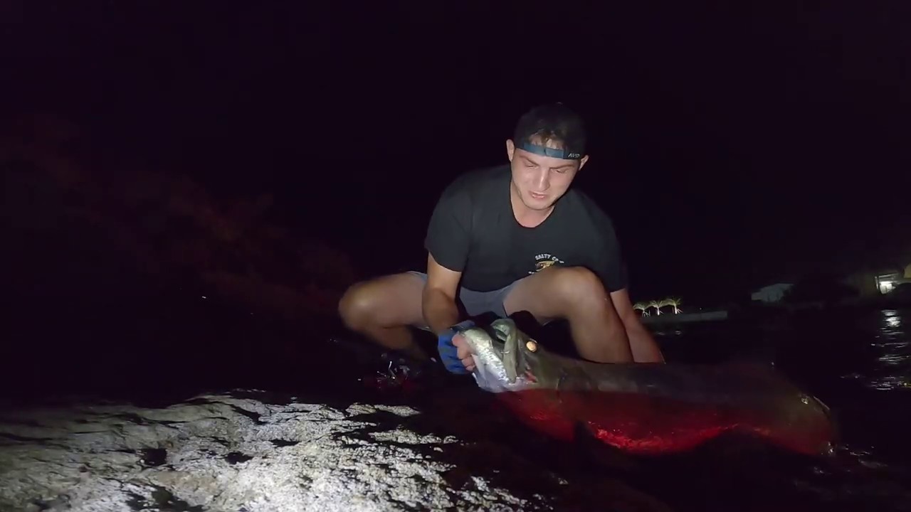 Surprise Tarpon in St Martin