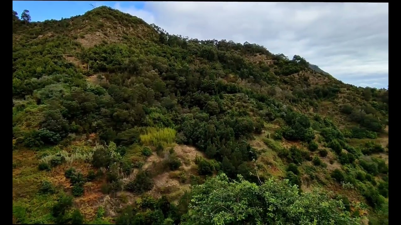 Levada da Referta PORTO DA CRUZ Madeira