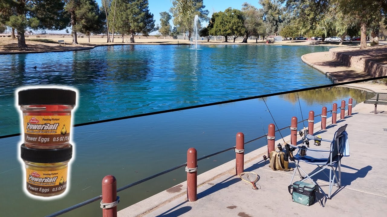 Fishing for Stocked Rainbow Trout at Multiple Urban Lakes!