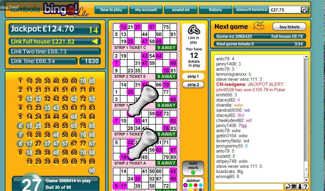 Tombola Bingo Lite Game 1