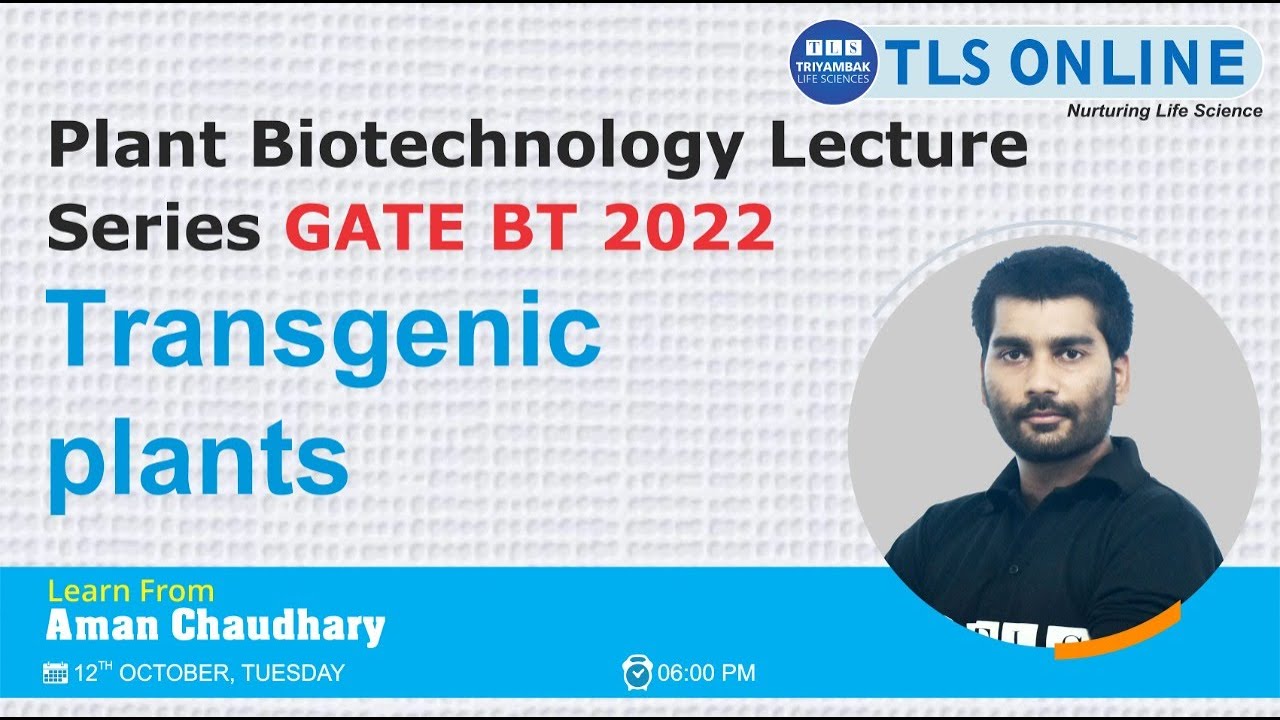 Transgenic plants