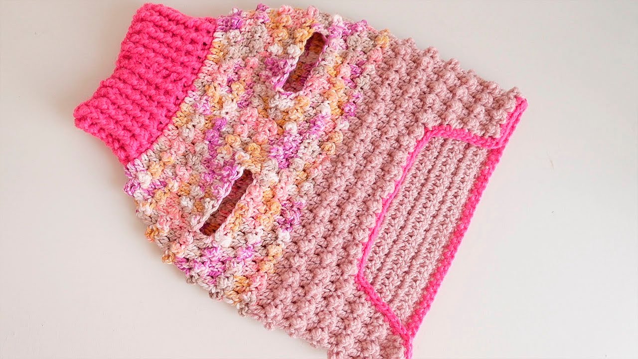 ROPITA para MASCOTAS Tejida a Crochet | Ropa para PERROS a Crochet - Ganchillo