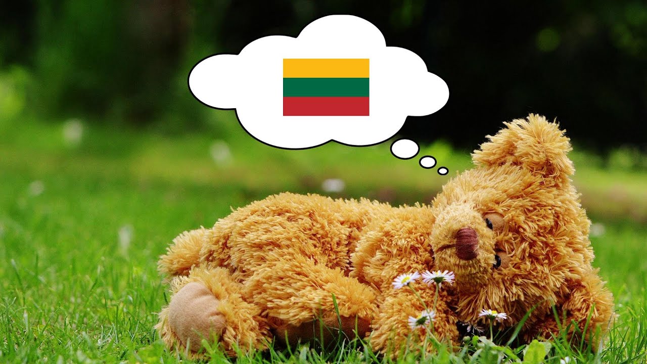 Learn Lithuanian While You Sleep - 1000 Important Lithuanian Words & Phrases