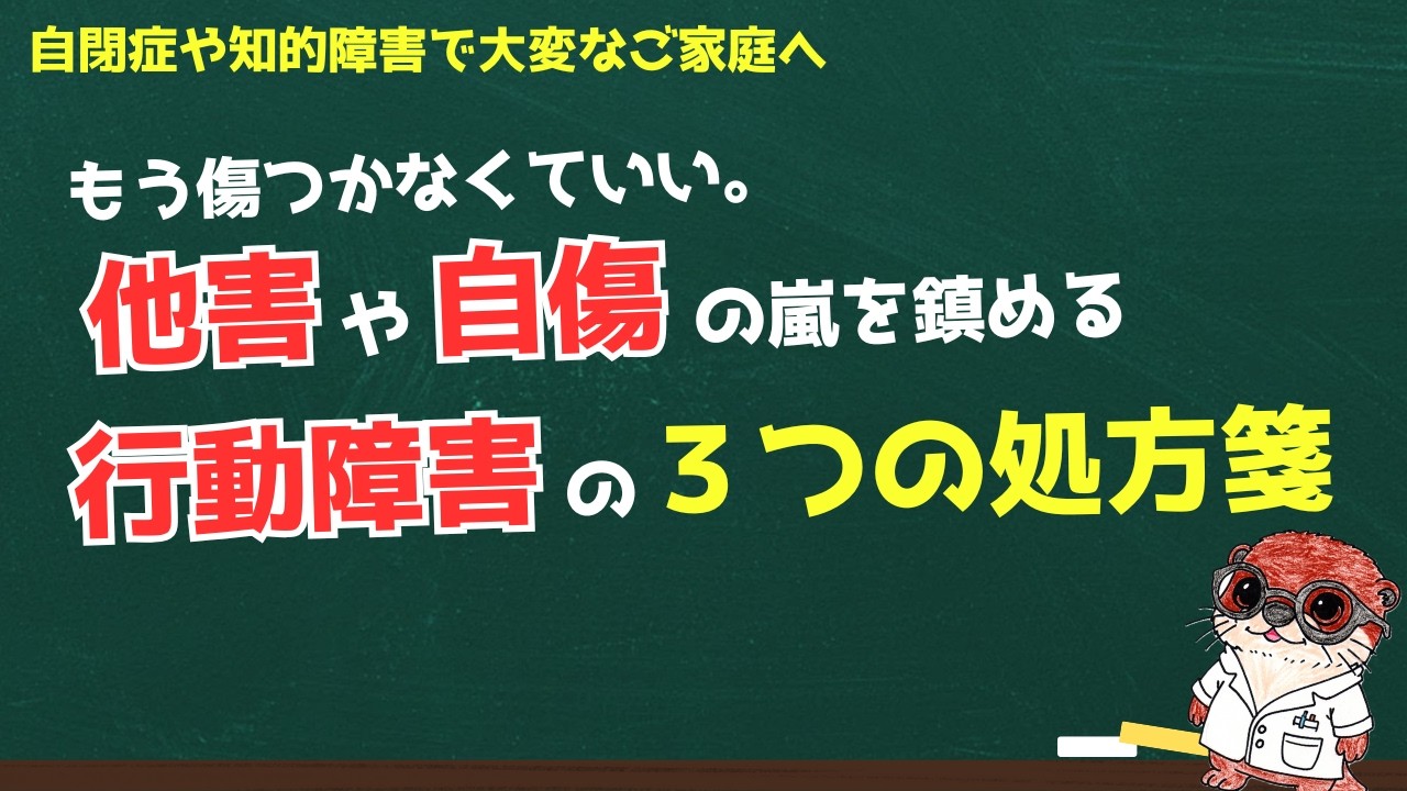もう傷つかなくていい。他害や自傷の嵐を鎮める 行動障害の３つの処方箋