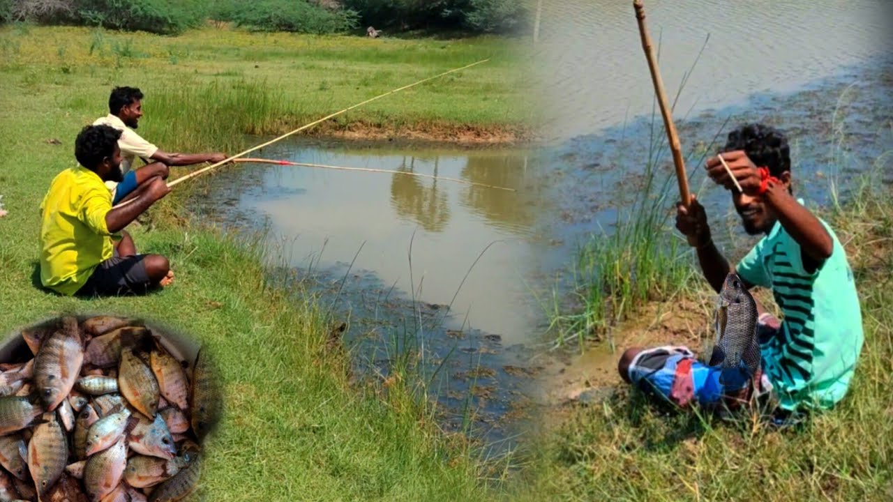 Thoondil Fishing..! ஜிலேபி மீன் பிடிக்க தூண்டில் போட போறோம்..! #fishing