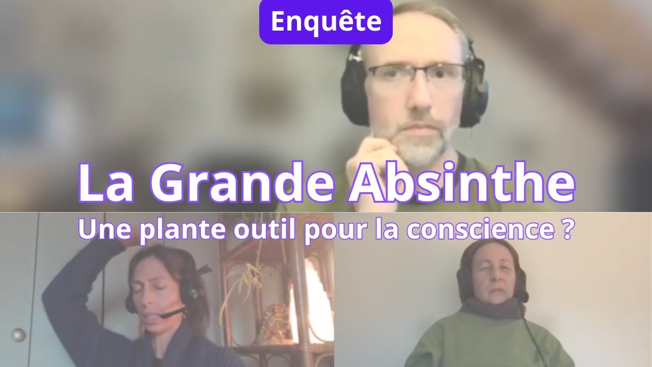 ENQUÊTE SOUS HYPNOSE : LA GRANDE ABSINTHE - UNE PLANTE OUTIL POUR LA CONSCIENCE ?
