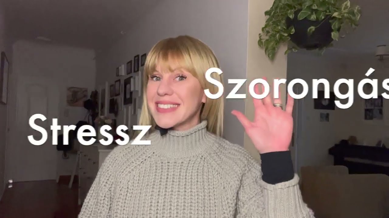 Fél, stresszel, szorong a kutyád? Mit tegyél? - Általánosságban a stresszes kutyákról