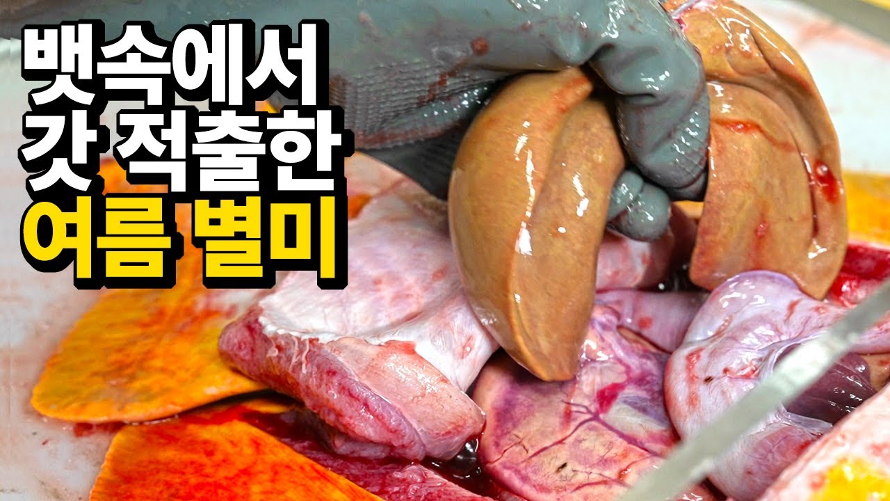 징그럽지만 자꾸 생각나는 별미, '이것'을 먹으려고 여름을 기다렸습니다~!