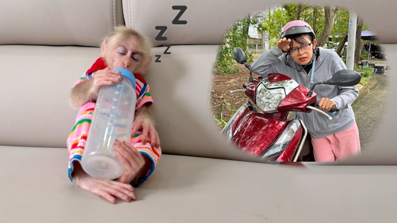 So adorable: Lucky fell asleep waiting for her mother, what happened?