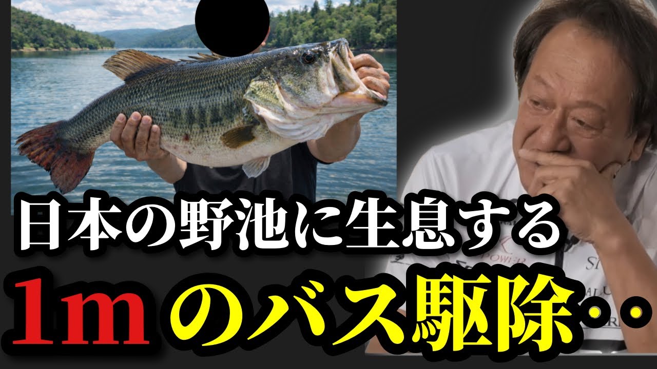 【村田基】※1mのブラックバス駆除で番組が炎上‥※【村田基切り抜き】