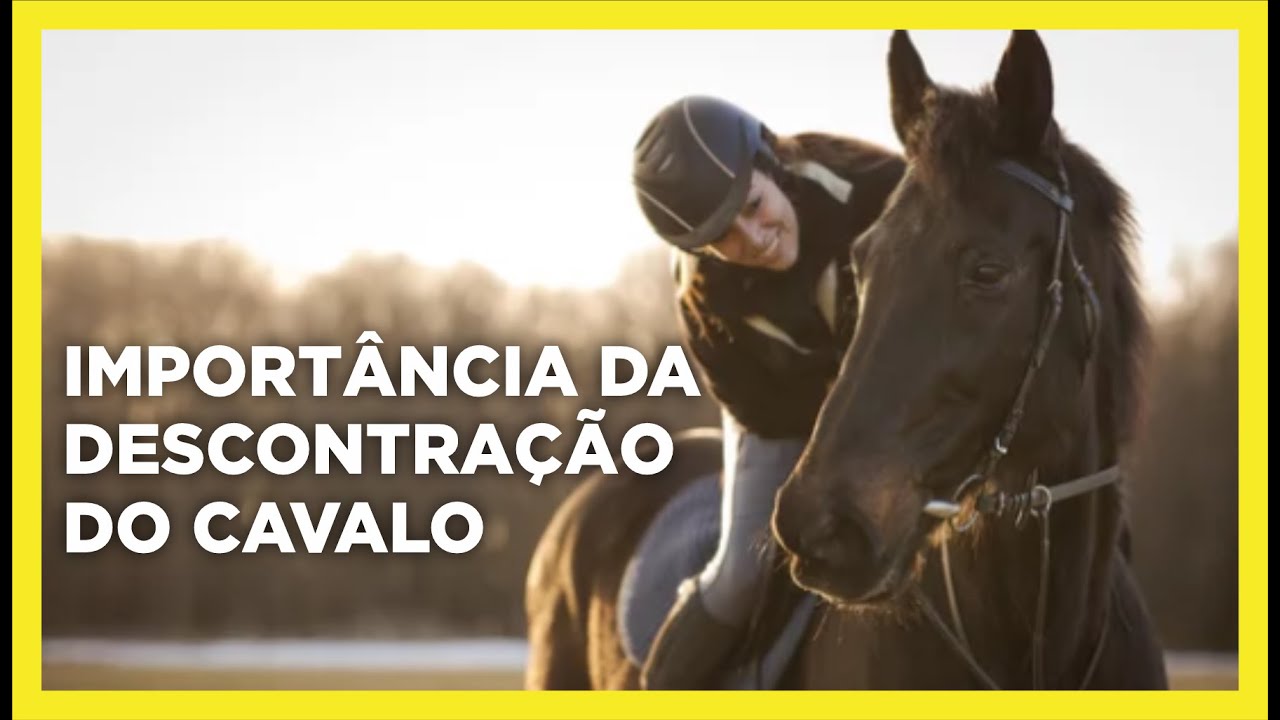 Import&acirc;ncia da descontra&ccedil;&atilde;o do cavalo