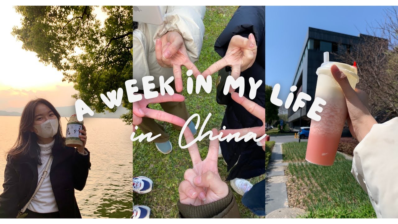 CHINA VLOG | a week before school starts, zhejiang university, hangzhou #university