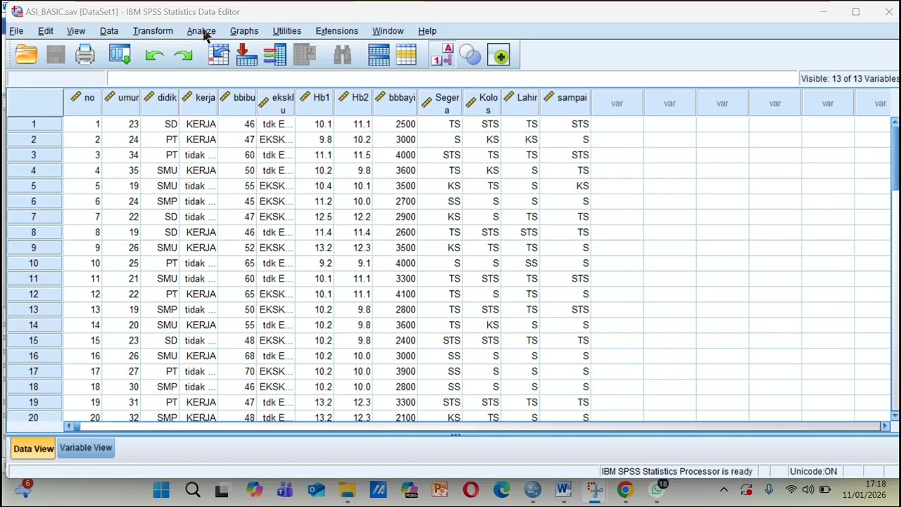Tugas Manajemen Analisis Data