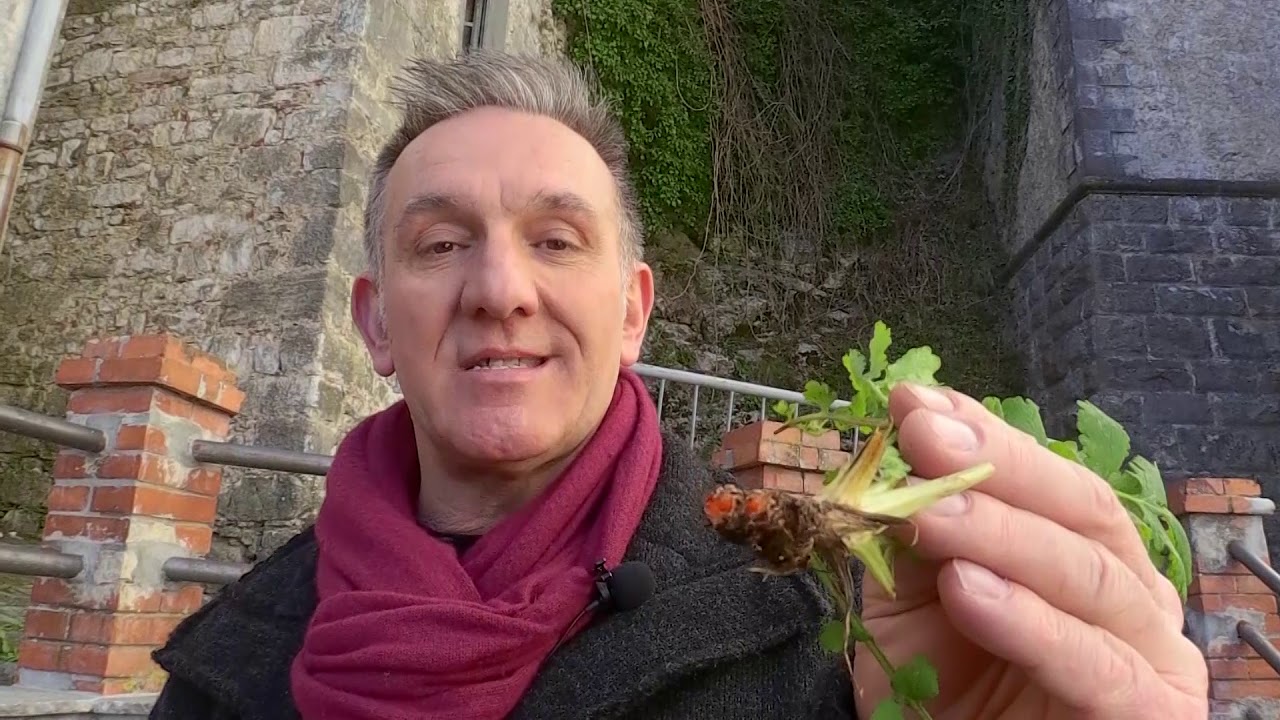 I colori del serchio con Marco Pardini a Lucchio 3