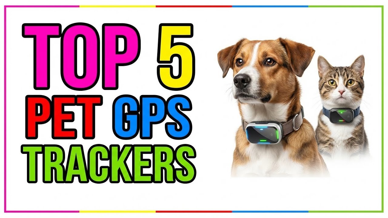TOP 5 Best GPS Trackers for Pets 2026 | Keep Tabs on Your Furry Friend for Peace of Mind